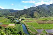 CTAHR irrigation project